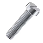 Slotted Screws