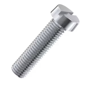 Slotted Screws