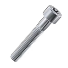 Torx Cap Head Screws