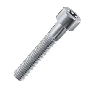 Torx Cap Head Screws
