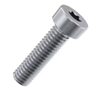 Torx Low Cap Head Screws