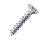 Self Tapping Screws