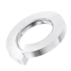 Spring Washers