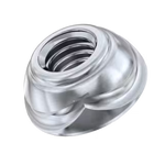 Security Nuts