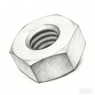 Hexagon Nuts (DIN 934)